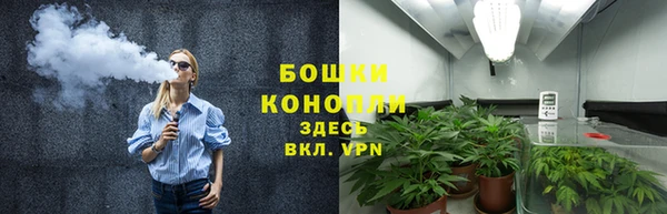 прущие крисы Щигры