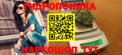 твердый Дубна