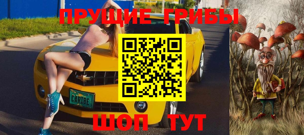 закладка  Псилоцибиновые грибы мухоморы  Махачкала  Вход с VPN  Псилоцибиновые грибы ЛСД 